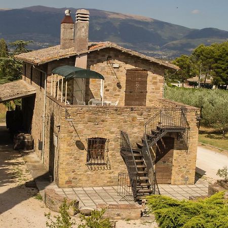 Country House Carmelita Limigiano Экстерьер фото