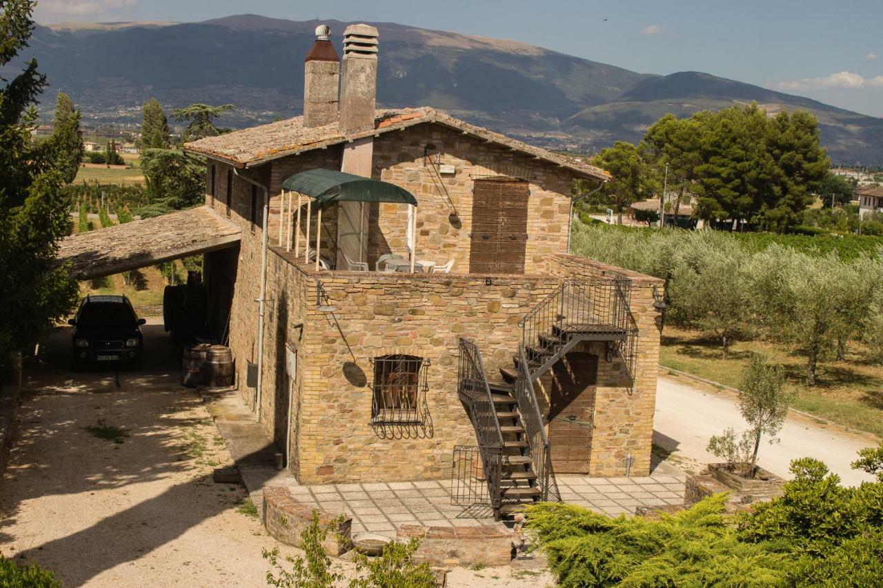 Country House Carmelita Limigiano Экстерьер фото